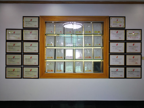 先锋专利证书 先锋专利证书